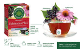 Traditional Medicinals Organic Echinacea Plus Elderberry Seasonal Tea, 16 Tea Bags (Pack of 6)